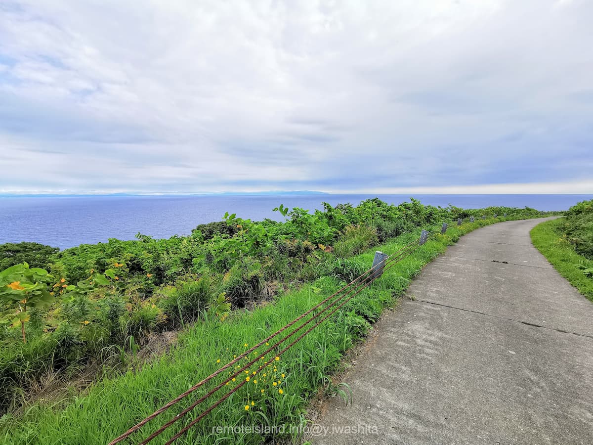 33西側.jpg 33西側