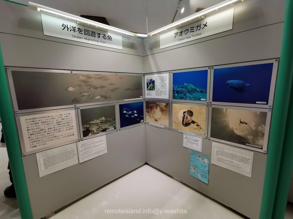 19情報コーナー.jpg 19情報コーナー