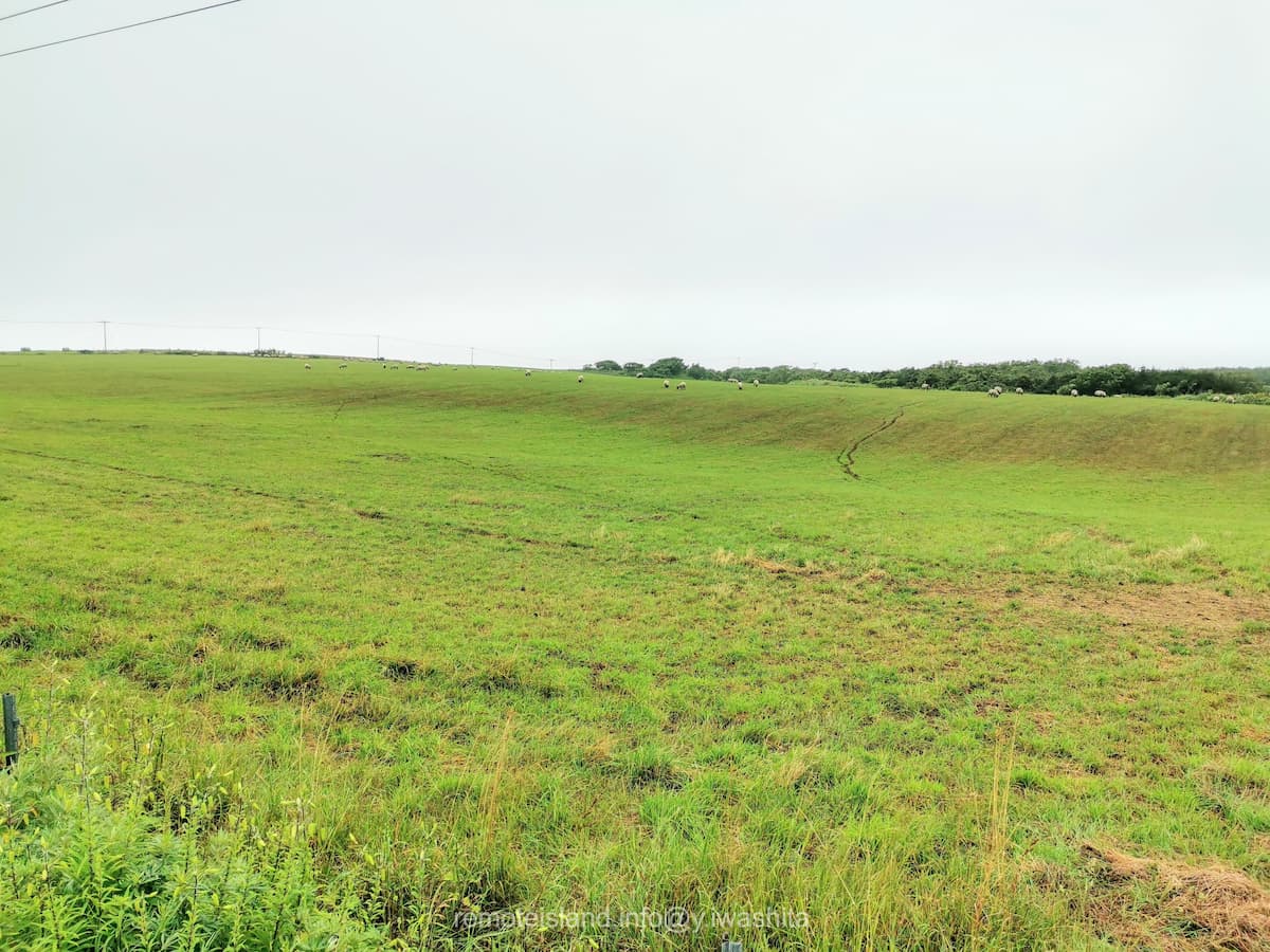 17めん羊放牧場.jpg 17めん羊放牧場