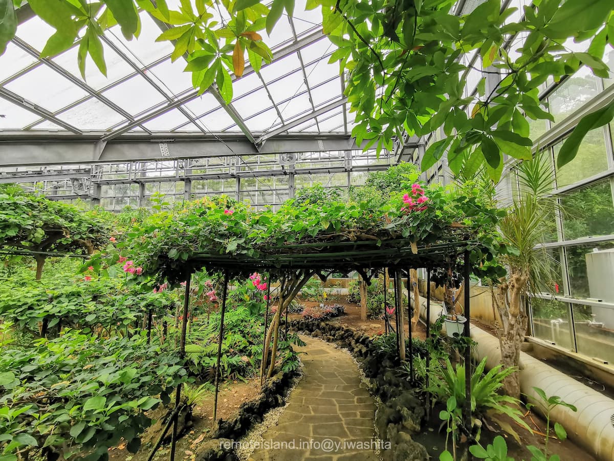 05温室植栽ゾーン.jpg 05温室植栽ゾーン