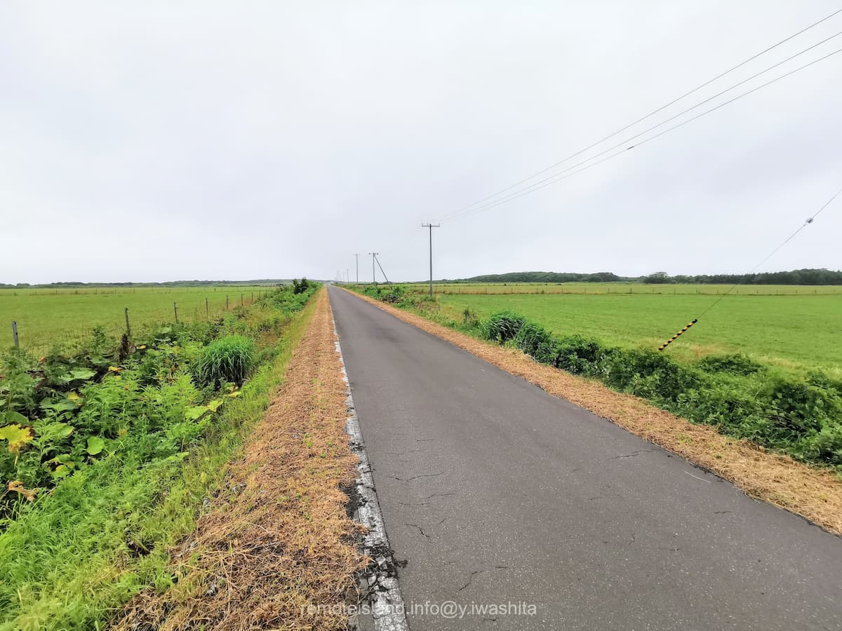 04オンコ海道.jpg 04オンコ海道