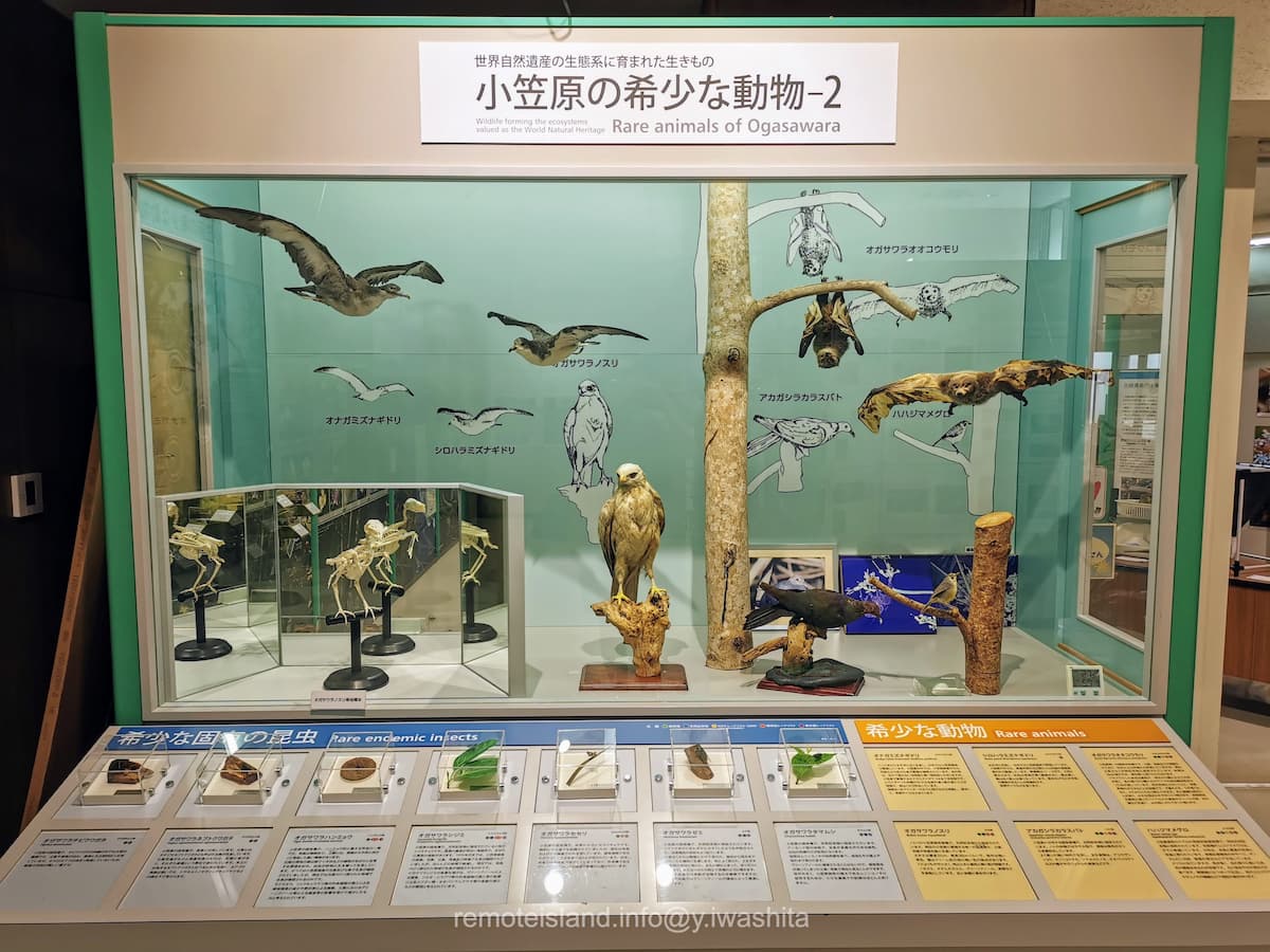 21情報コーナー.jpg 21情報コーナー