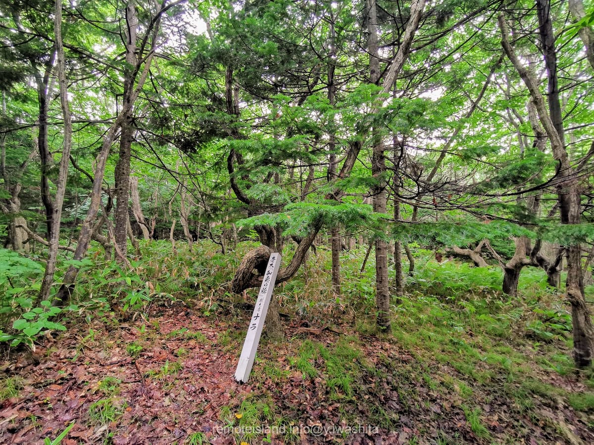 34知恵の輪.jpg 34知恵の輪