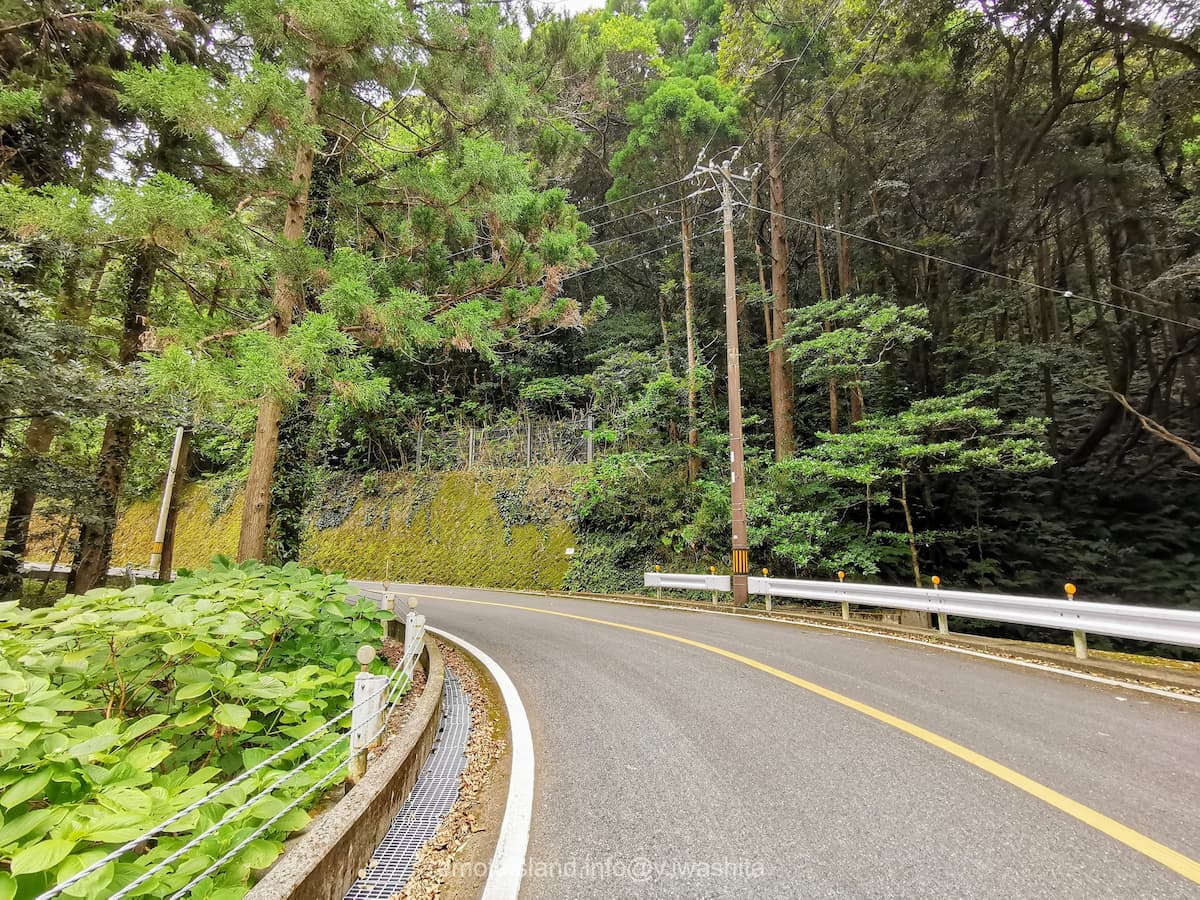 08登龍道路.jpg 08登龍道路