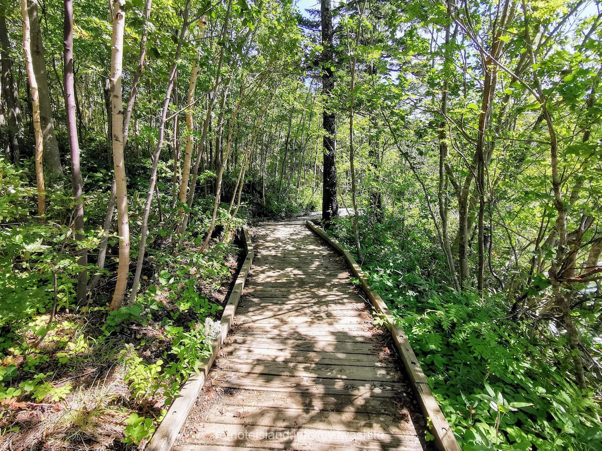 09遊歩道.jpg 09遊歩道