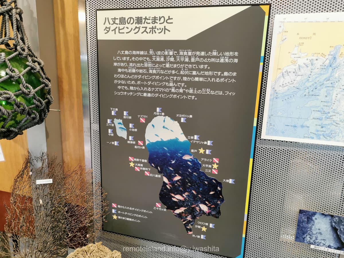 20ダイビングスポット.jpg 20ダイビングスポット