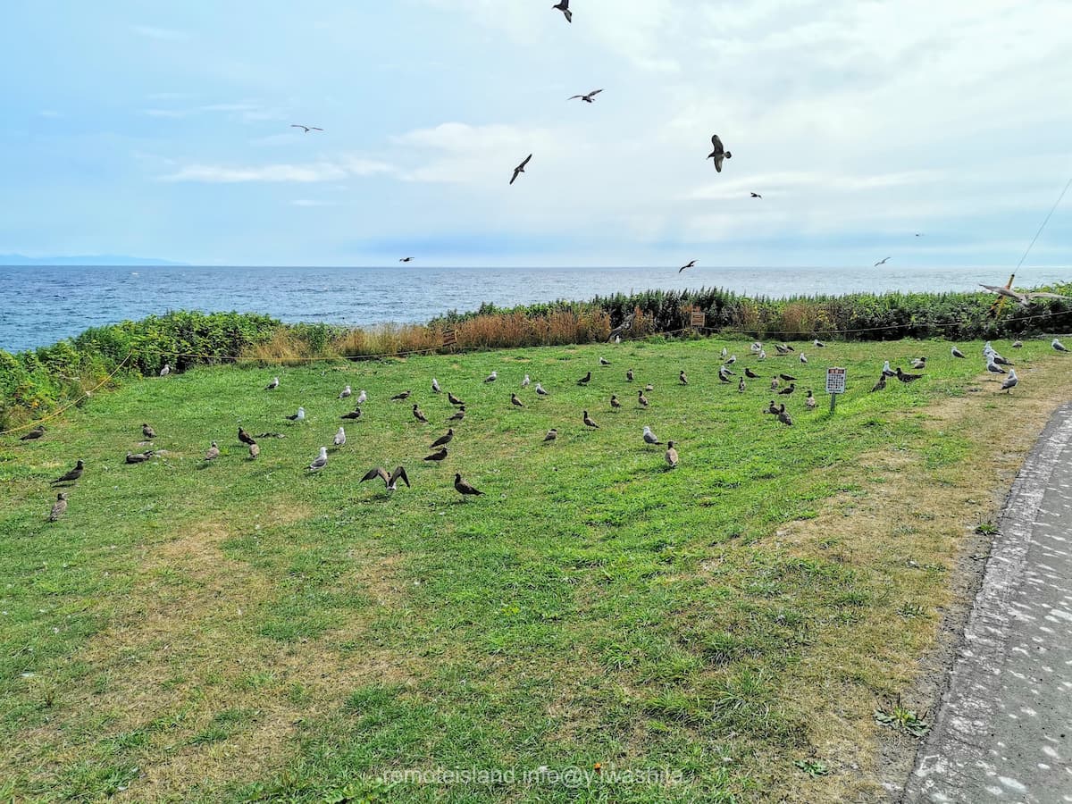08黒崎海岸付近.jpg 08黒崎海岸付近