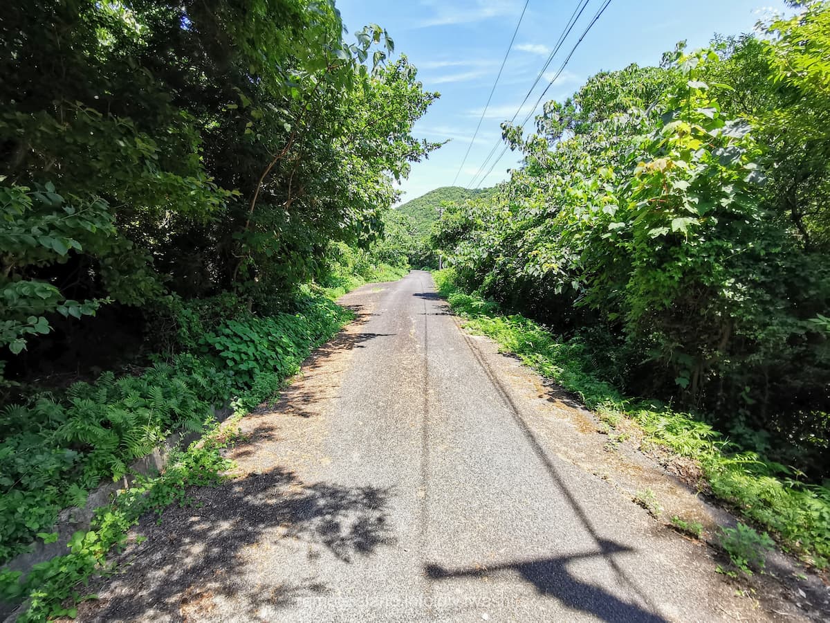 01耳浦キャンプ場へ.jpg 01耳浦キャンプ場へ