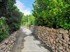 粟国島のおすすめ観光スポット１０個！アクセスや雰囲気もご紹介！