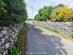 小浜島のおすすめ観光スポット６つ！アクセスや雰囲気をご紹介！