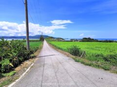 小浜島を旅行した人による観光ガイド｜アクセス・観光スポットを徹底解説【沖縄県】